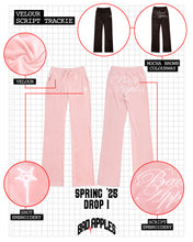Load image into Gallery viewer, B.A. BADDIES CURSIVE VELOUR TRACKSUIT PANTS BROWN